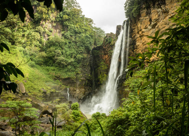 Beautiful Laxapana falls, waterfalls in sri lanka. Laxapana Falls is 126 m (413 ft) high[1] and the 8th highest waterfall in Sri Lanka and 625th highest waterfall in the world. It is situated in Maskeliya area in Nuwara Eliya District nuwara eliya stock pictures, royalty-free photos & images