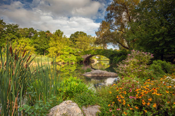 istock Gapstow Bridge in Central Park 1456914555