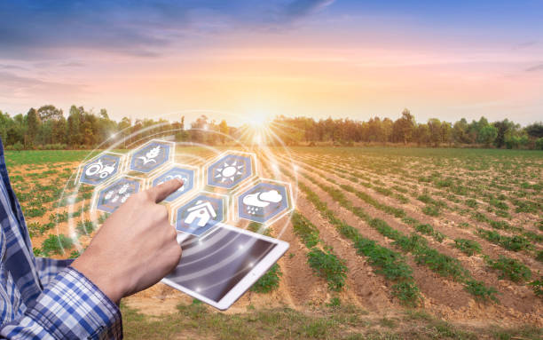 istock Innovation technology for smart farm system, Agriculture management, Hand holding smartphone with smart technology concept. asian male farmer working in of cassava plantation collect data to study. 1456916544