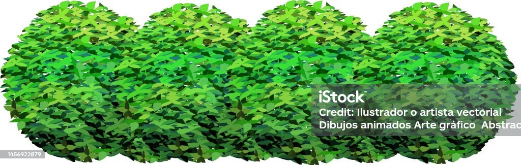 Boxwood Graphics Print Stock Illustration - Download Image Now - Boxwood, Branch - Plant ...