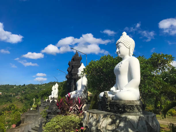 istock Perspective View Big White Buddha Statues Side By Side Beside The Gate In The Garden 1456925622