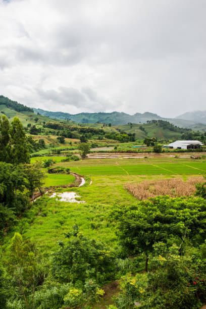 istock Beautiful Natural View at Chiang Rai Province 1456931330