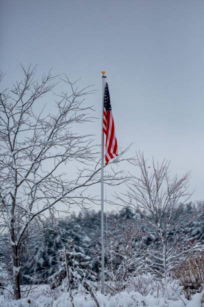 istock USA flag in a snow covered forest 1456946473