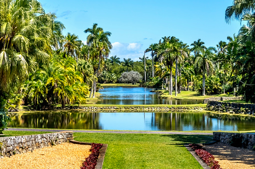 Palm Trees Reflectioin Fairchild Tropical Botanic Garden Coral Gables Florida