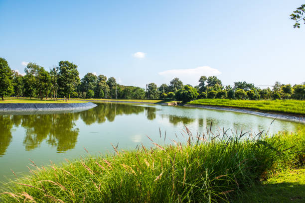 Lake with blue sky at Chiang Rai province, Thailand.