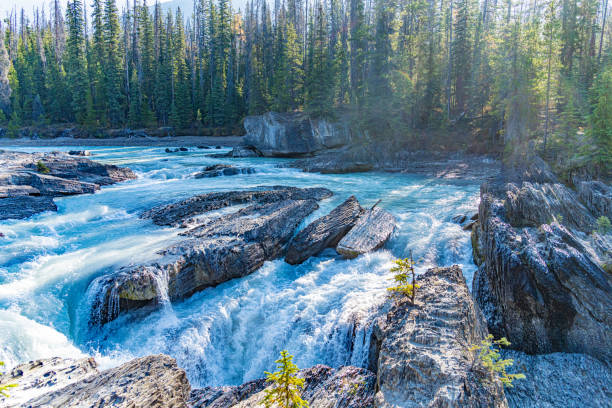 istock Waterfall in national park in British Columbia Canada 1456952995