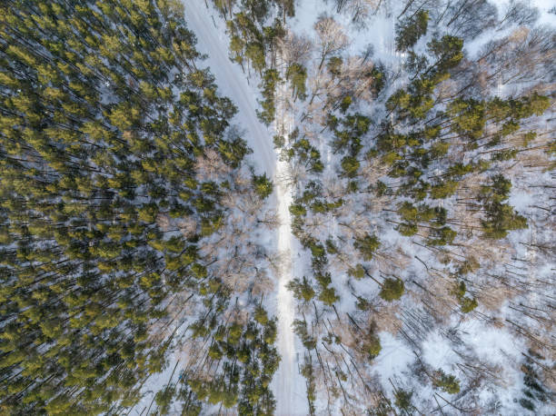 istock Flight over the winter mountains with road serpentine and pine forest. Top down view. Landscape photography 1456953998