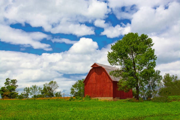 istock Barn-Red Barn with a soy bean field-Miami County, Indiana 1456954812