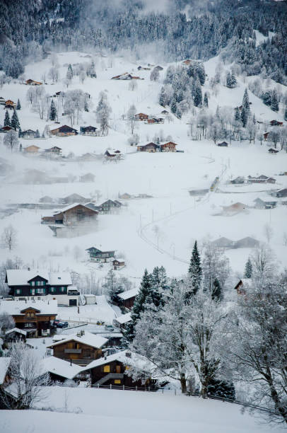 스위스 그린델발트의 전통적인 목조 샬레 알프스 위의 눈 덮인 산봉우리 조감도 - village switzerland landscape swiss culture 뉴스 사진 이미지