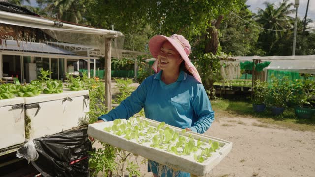 Smiling female farmer on hydroponic lettuce farm