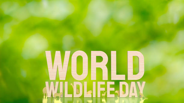 istock The animal and text for world wildlife day concept 3d rendering 1456961320