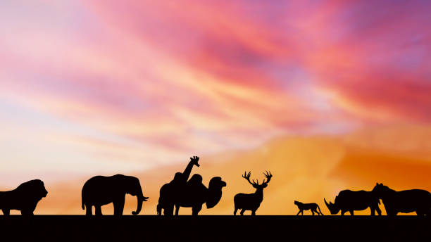 istock The wild life silhouette in twilight sky 3d rendering 1456961716