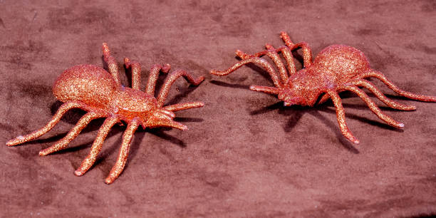 istock Two Fake Spiders On Brown Background 1456962453
