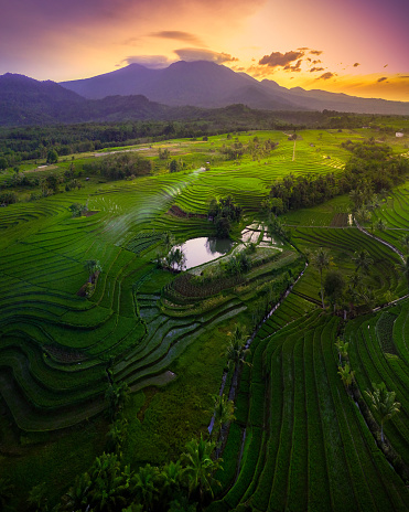 morning view in indonesia with green rice mountain at sunrise shining bright