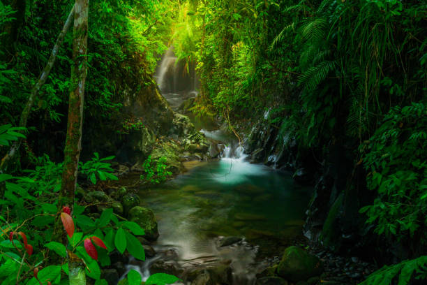 istock indonesian landscape in the morning with a waterfall inside a beautiful tropical forest 1456963170