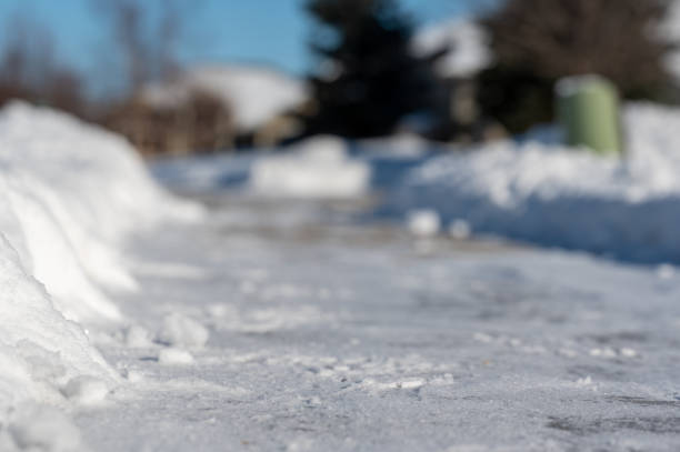 istock Selective focus ground level view of snow blown sidewalk section with path continuing. 1456965861