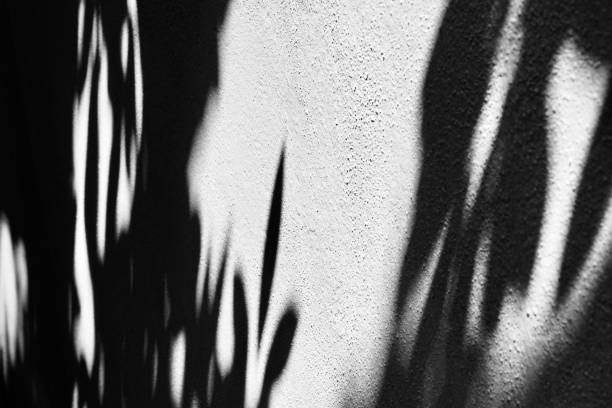 istock Shadow of leaves in grey color wall background. 1456990197