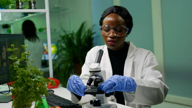 istock Botanist woman looking at test sample under microscope observing genetic mutation 1456994492