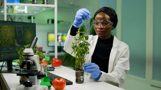 istock African researcher measure sapling for botany experiment 1456994751