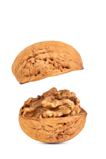 Broken walnut shell into two on white background.