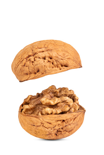 Walnut kerne in the shell isolated on white background.