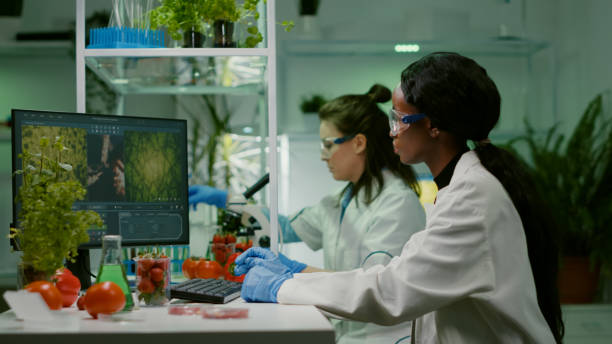 istock Chemist researcher injecting strawberry with organic dna liquid 1456995158