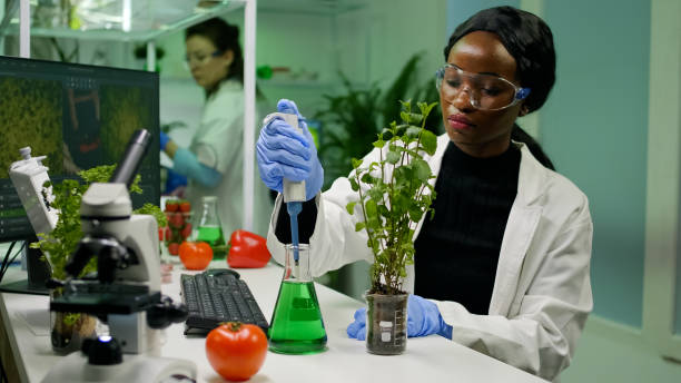 istock African botanist researcher taking genetic solution from test tube 1456995169