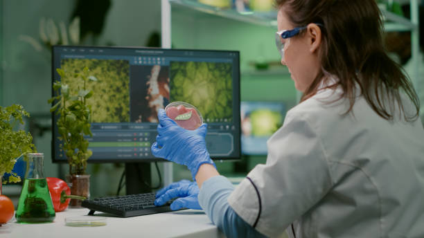 istock Chemist woman analyzing vegan beef meat for biochemistry experiment 1456995205