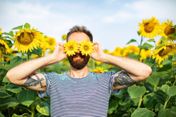 Young adult man at sunflower field stock photo
