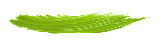 istock Lime green brush isolated on white background. lime green brush 1457002864