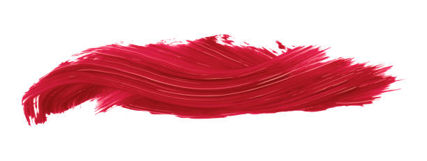 istock Ruddy brush isolated on white background, red brush Scarlet Sage 1457002872