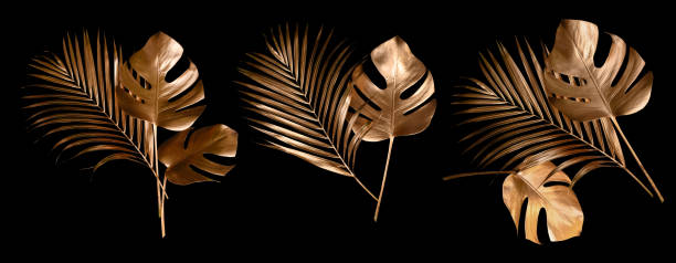 istock Tropical leaves gold and black, can be used as background(Monstera,palm,coconut) 1457008330