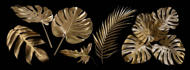 istock Tropical leaves gold and black, can be used as background(Monstera,palm,coconut) 1457008433