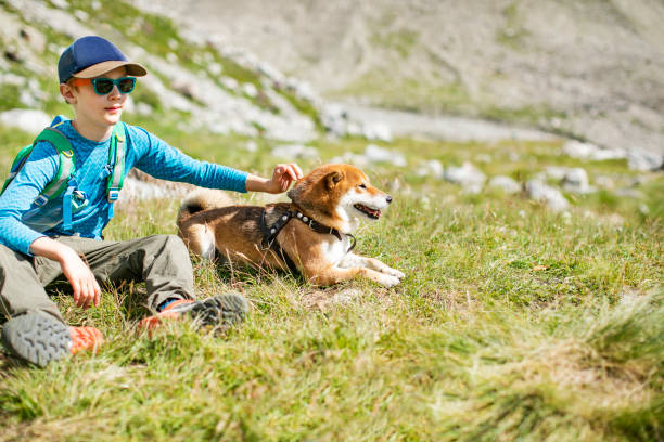 istock Boy sitting with his dog while trekking in mountains 1457009540