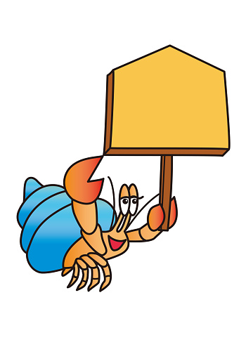 Hermit crab with a notice board