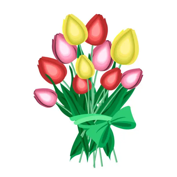Vector illustration of A bouquet of multicolored tulips tied with a ribbon, isolated on a white background.Vector illustration for festive designs for March 8,Valentine's Day, birthday.