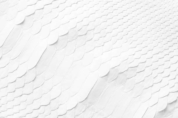 White snake skin texture, natural reptile leather as background