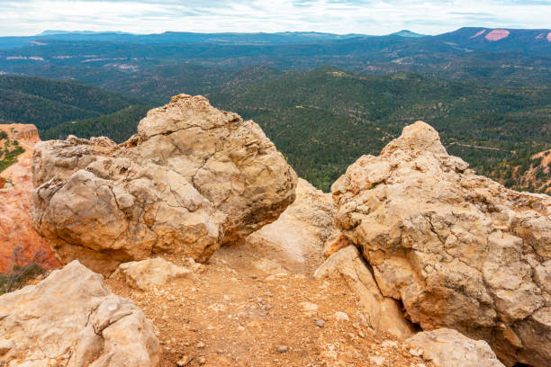 istock Strawberry Point Ridge in Dixie National Forest, Utah 1457020842