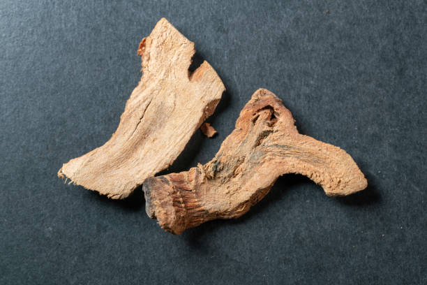 istock chinese medicine galangal on black background 1457021051