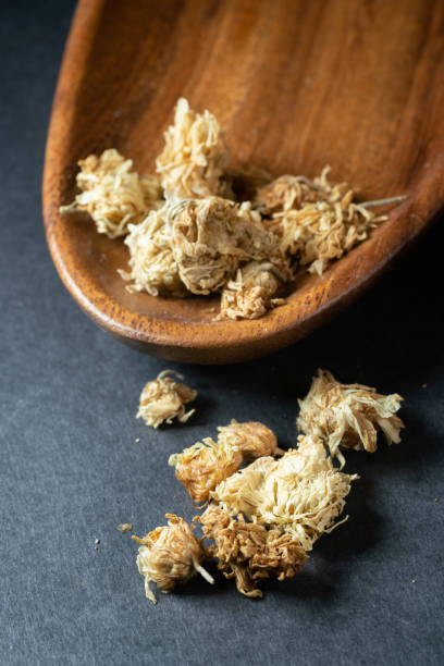 istock chinese medicine chrysanthemum on black background 1457021180