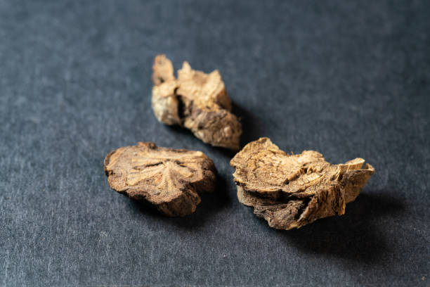 istock chinese medicine Uniflower Swisscentaury Root on black background 1457021556