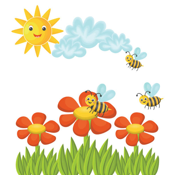ilustrações, clipart, desenhos animados e ícones de cartão postal bonito dos desenhos animados. gramado ensolarado com abelhas voando sob flores vermelhas margarida e grama isolada no fundo branco. as abelhas estão coletando mel no ensolarado dia de verão. - day may lawn leaf