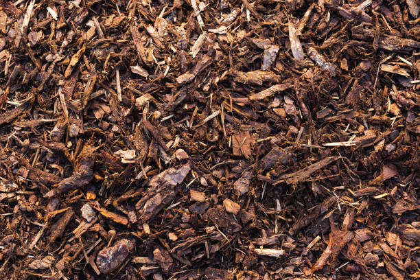 istock Background natural from wood recycled mulch 1457029036
