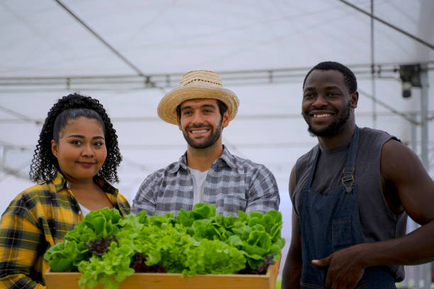 istock Entrepreneur work in hydroponic farm. Vegetables forming in greenhouse. 1457030603