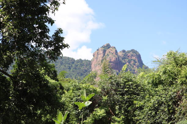 istock Best Hills and Forests view in South India. 1457034451