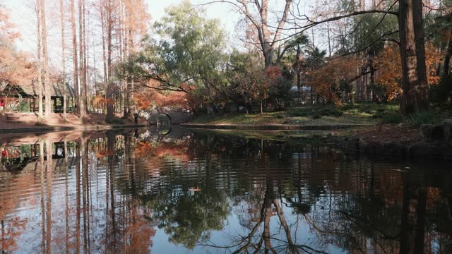 Beautiful autumn landscape 4k slow motion footage, colorful forest with reflections in peaceful lake like paintings in sunny day.