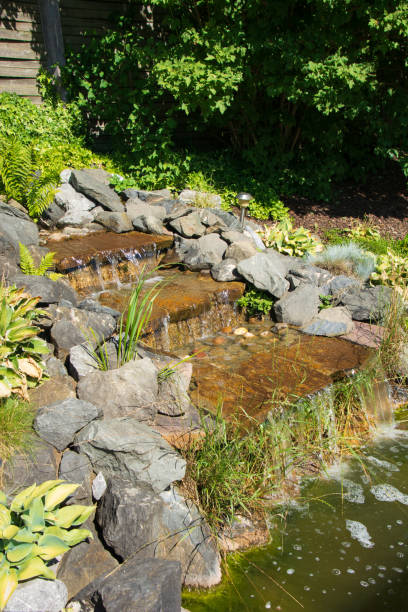 istock example of installed water stairs for a garden pond with many plants 1457050800