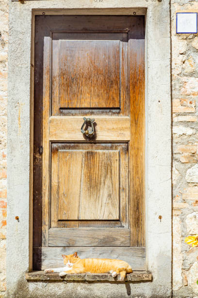 istock Ginger cat sleeps in front of the door 1457053701