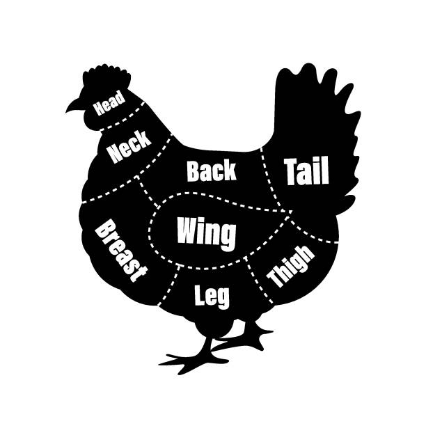 10 Chicken Body Parts Diagram CleoMalihah 10-chicken-body-parts-diagram-cleomalihah