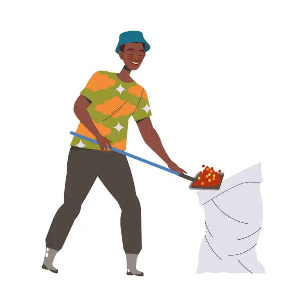 Vector illustration of Man Character Harvesting Coffee Pouring Fresh Fruit in Sack with Shovel Vector Illustration